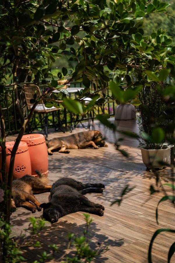 Zen Cafe Lakeside Đà Lạt Exterior foto